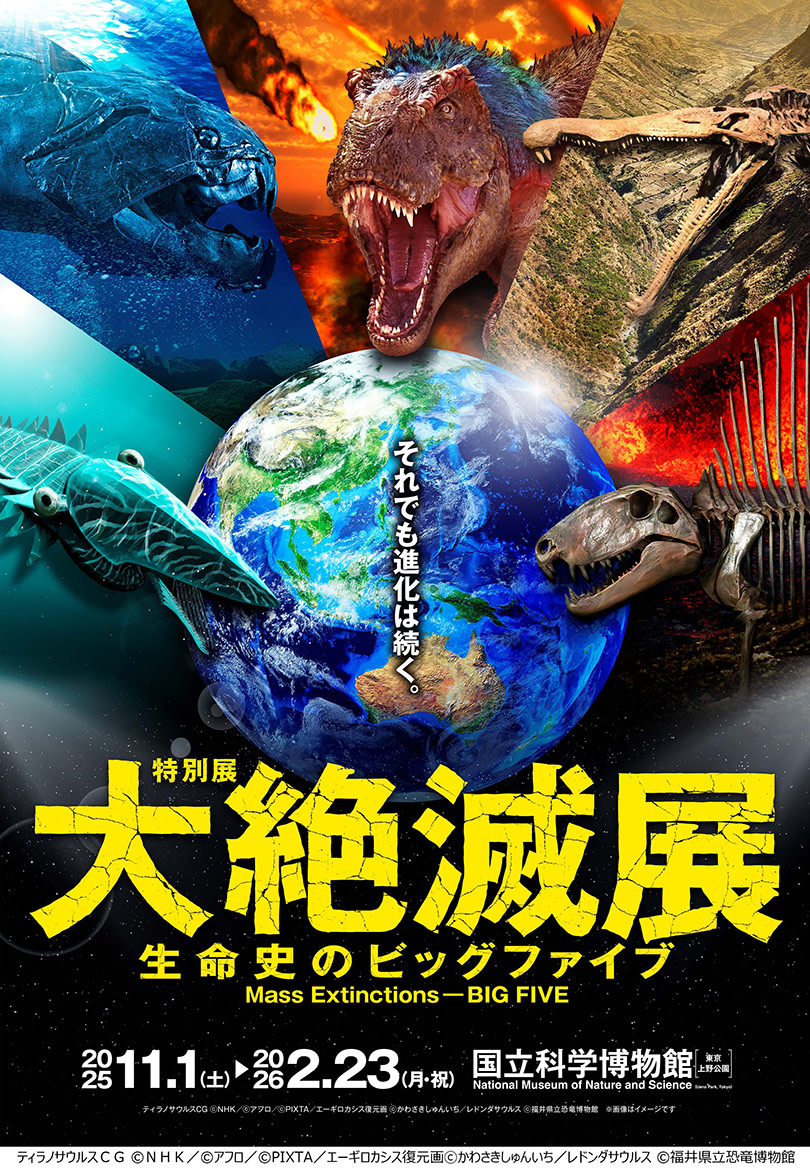 Mass Extinctions―Big Five （National Museum of Nature and Science ...
