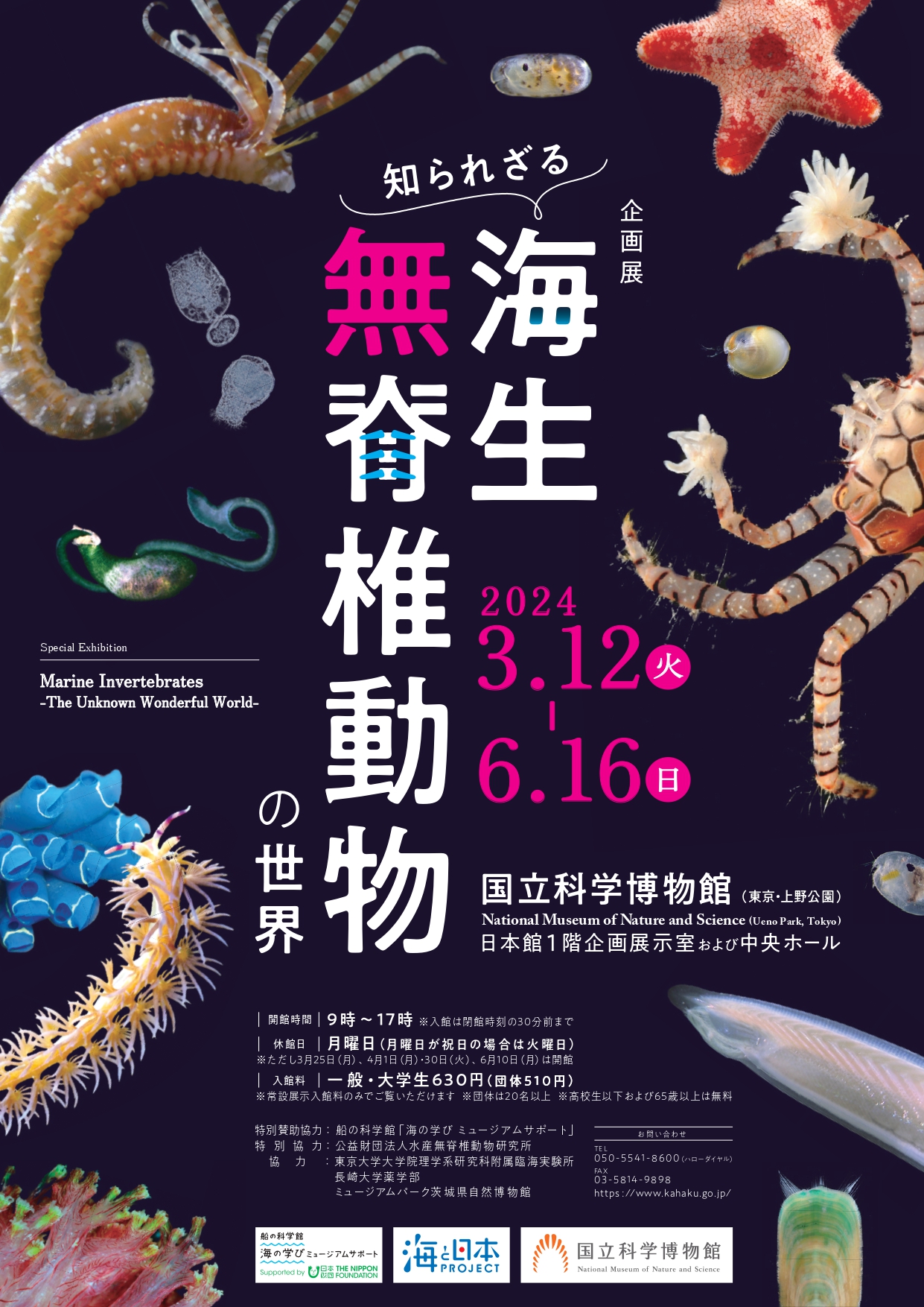 知られざる海生無脊椎動物の世界」 （国立科学博物館） ｜Tokyo Art Beat