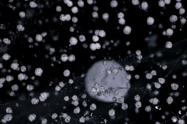 北尾辰也 「COSMIC STRUCTURES」