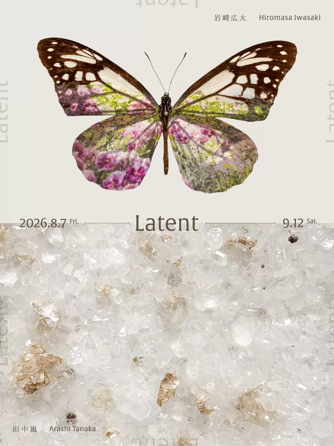 Hiromasa Iwasaki + Arashi Tanaka "Latent"