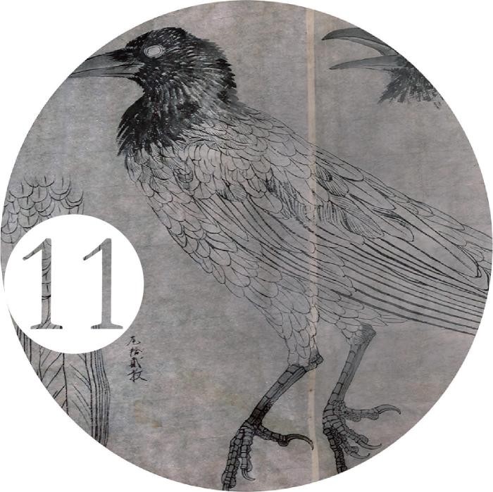 特別展示『アヴェス・ヤポニカエ〈11〉 – 鴉は黒いか