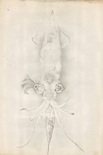 合田佐和子 1554113666389_bf1edd7f801a940f