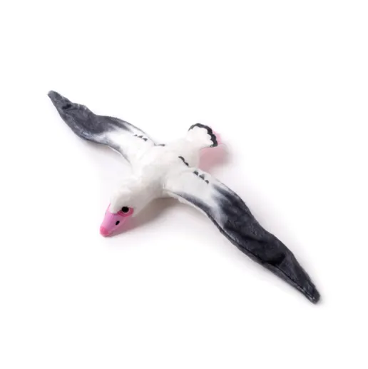 博物館のグッズ】一生分の鳥が見られる？ 「鳥 ～ゲノム解析が