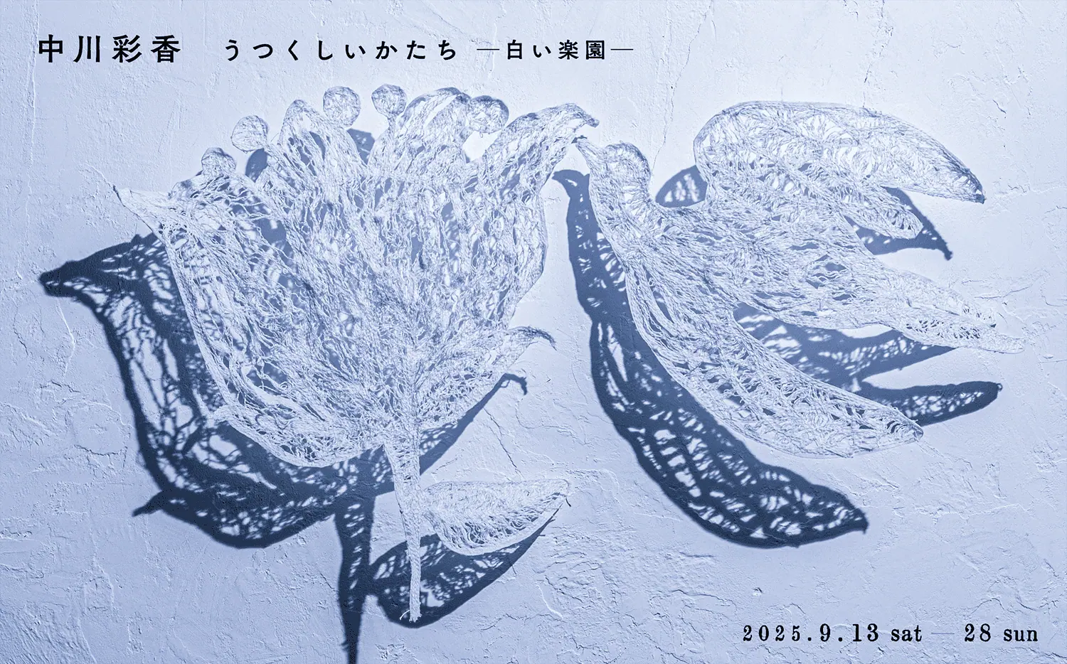 なかがわ寛奈 油彩画 「深淵がみている」 loc_01.webp