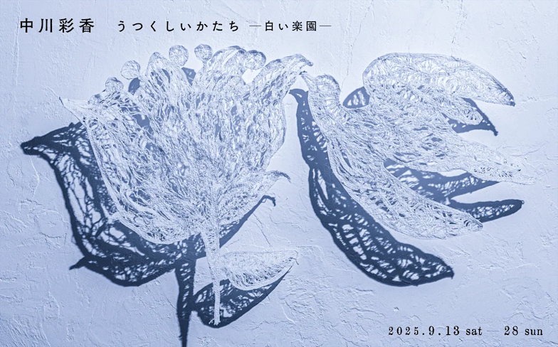 header_ayakanagakawa-1.webp?w=