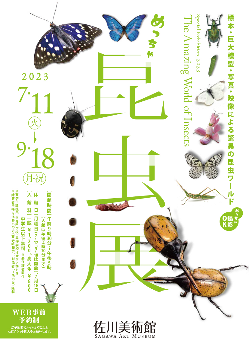 Metcha!' Insect Exhibition （Sagawa Art Museum） ｜Tokyo Art Beat