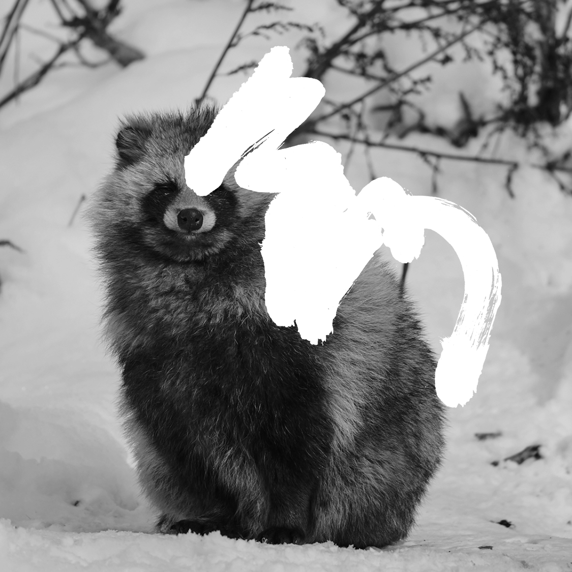 tata_banner_220905__1_.jpg?w=1200