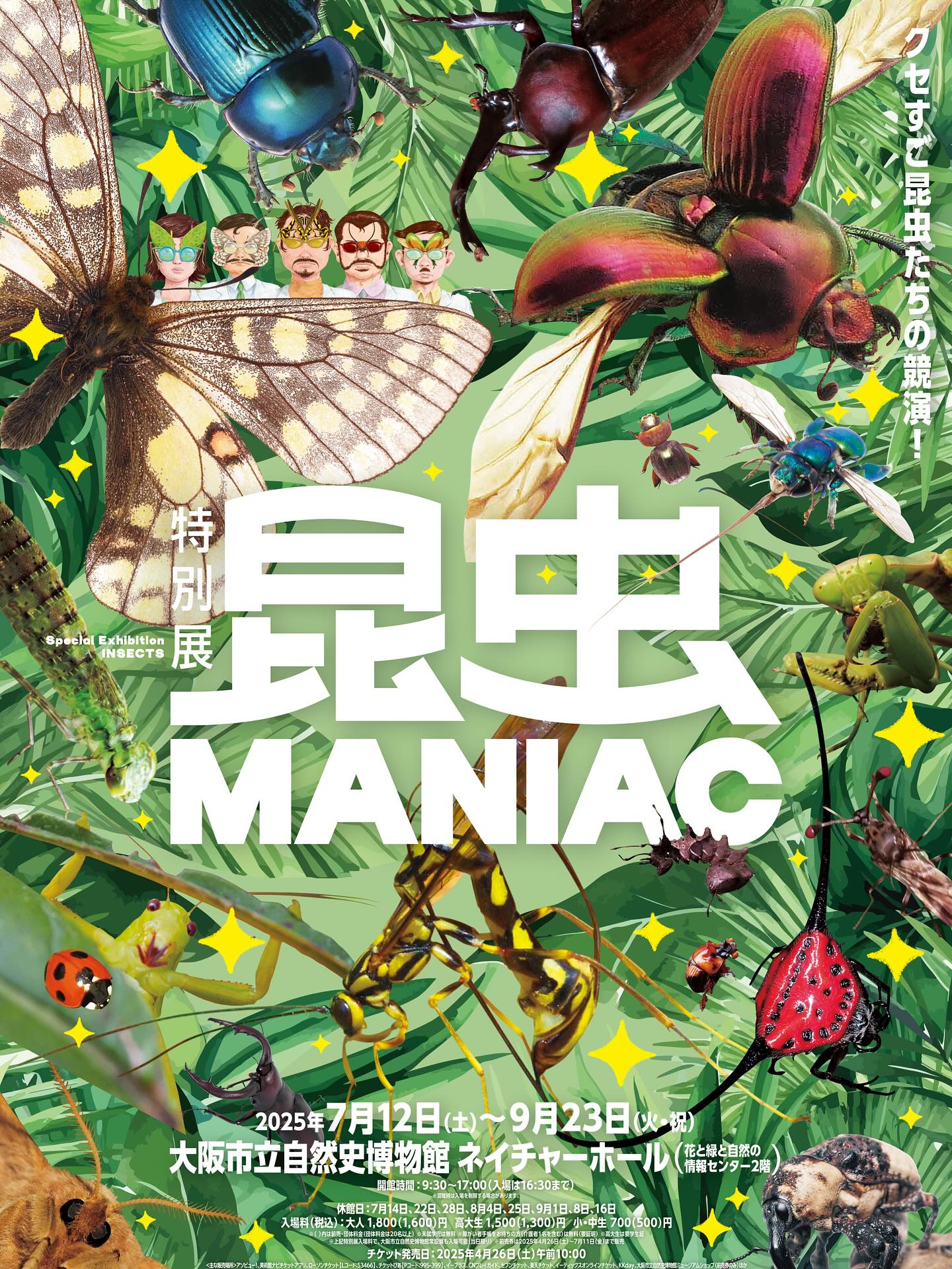 昆虫 MANIAC」 （大阪市立自然史博物館） ｜Tokyo Art Beat
