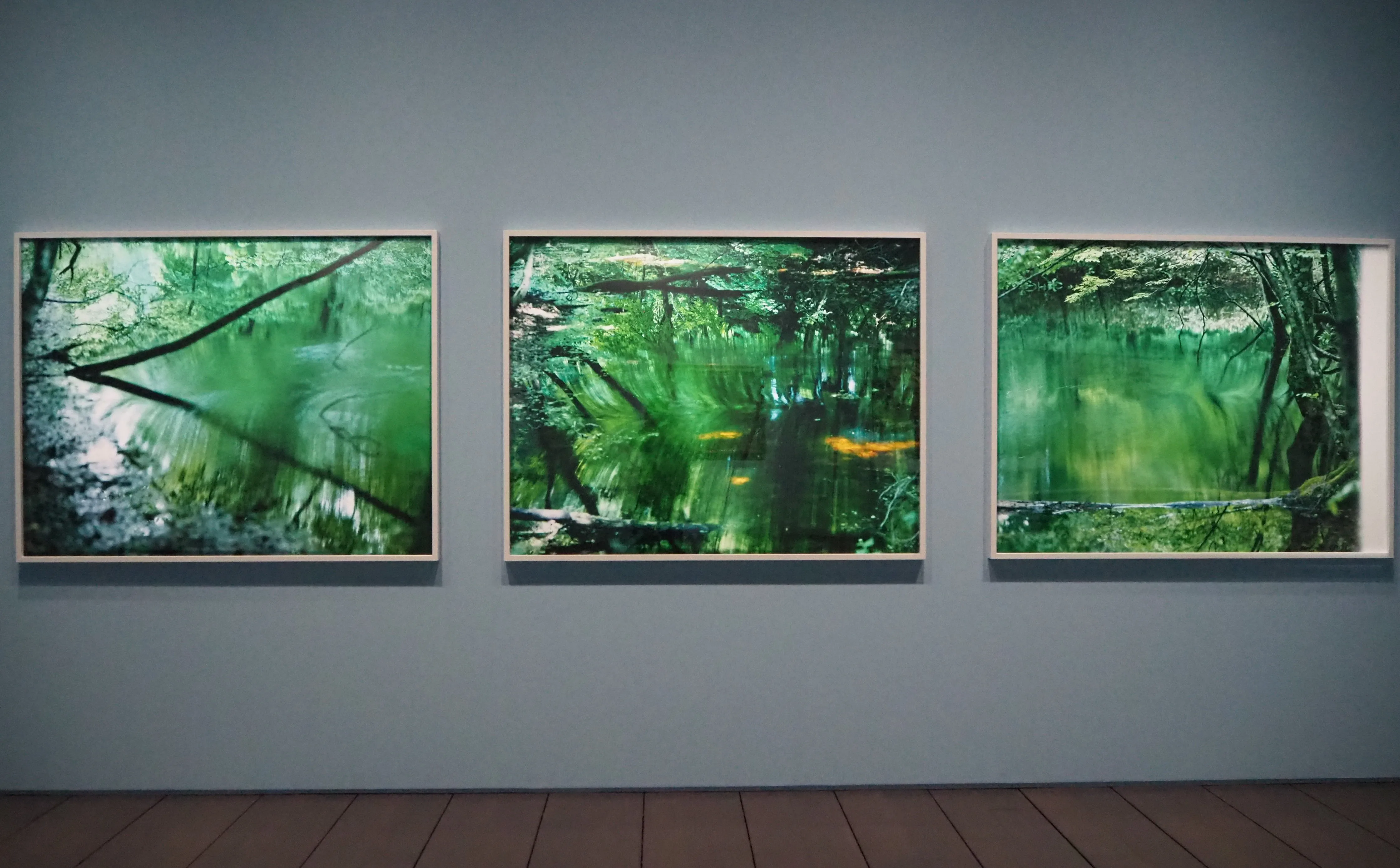 セザンヌを起点に、現代写真と絵画が交差する。「ジャム・セッション