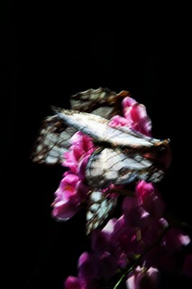 山上新平 「KANON」 （POETIC SCAPE） ｜Tokyo Art Beat