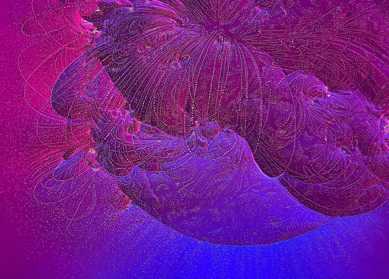 須藤美沙 「White Light and the Cosmic Hole」 （Yu Harada） ｜Tokyo