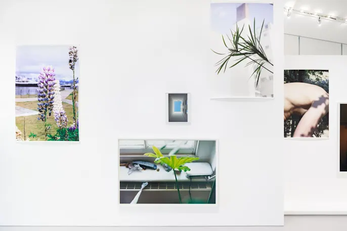 境界を越える人：ヴォルフガング・ティルマンス 「Moments of Life」展