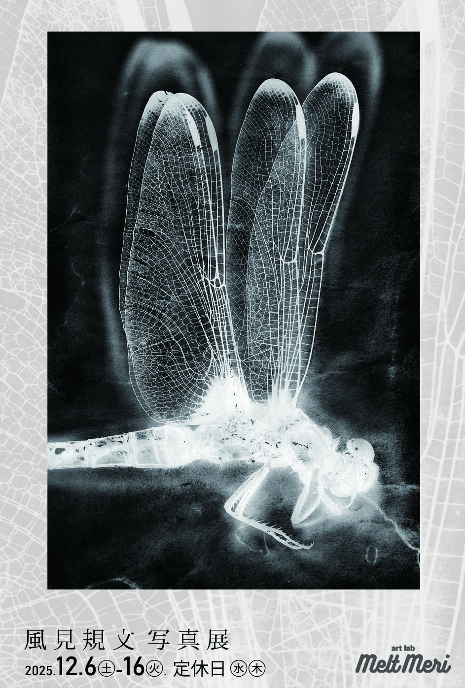 風見規文 展 （art lab Melt Meri（アートラボメルトメリ）） ｜Tokyo