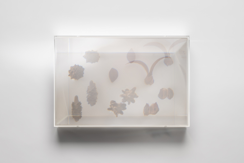 名和晃平　MOR-PHOSIS UESHIMA MUSEUM COLLECTION