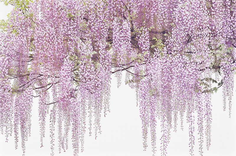 超絶技巧の鉛筆画 吉村芳生展」 （長崎県美術館） ｜Tokyo Art Beat