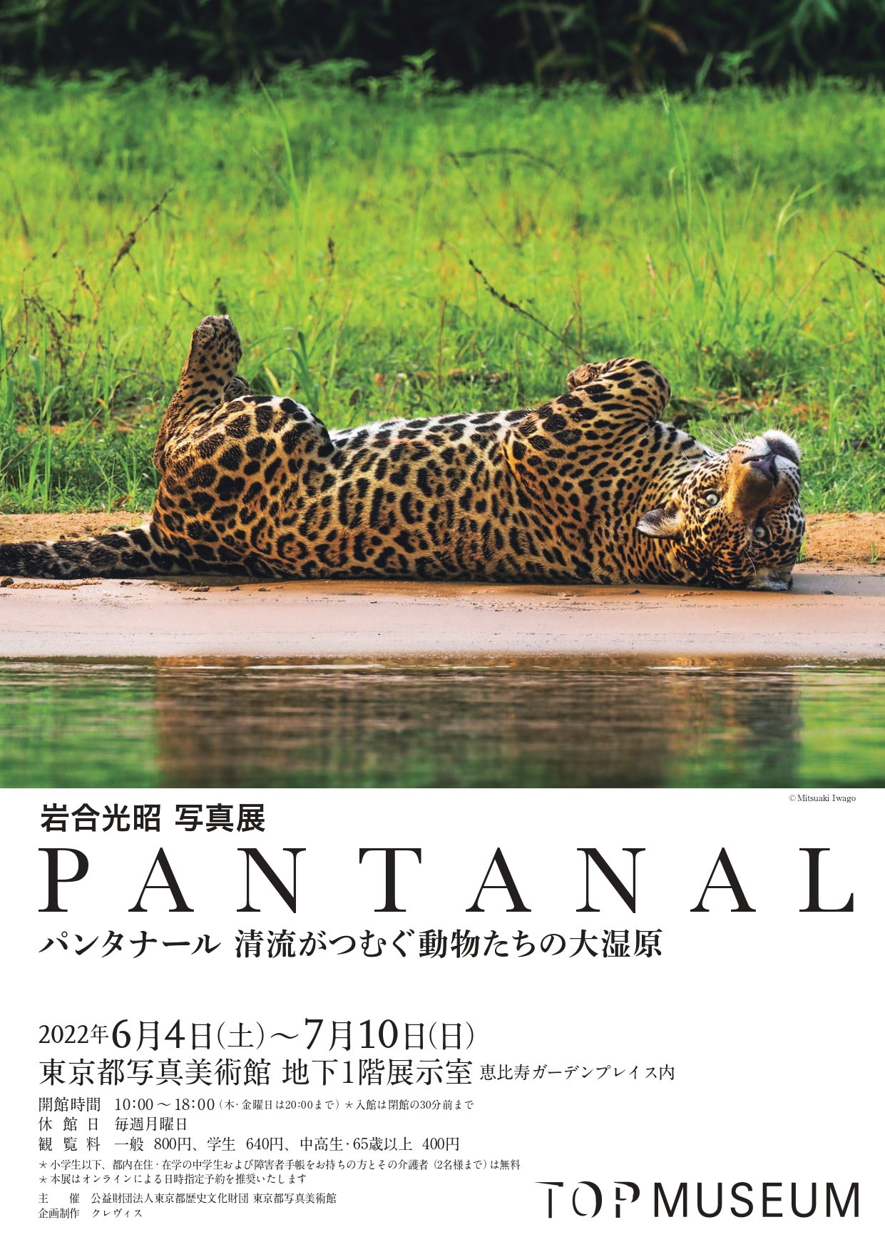 岩合光昭 「Pantanal - 清流がつむぐ動物たちの大湿原 - 」 （東京都