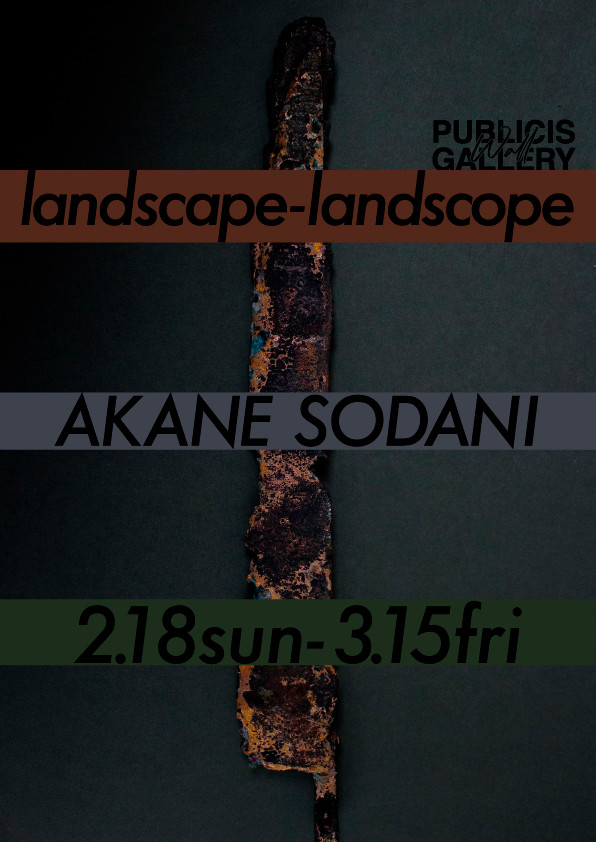 曽谷朱音 「landscape-landscope」 （PUBLICIS WALL GALLERY）