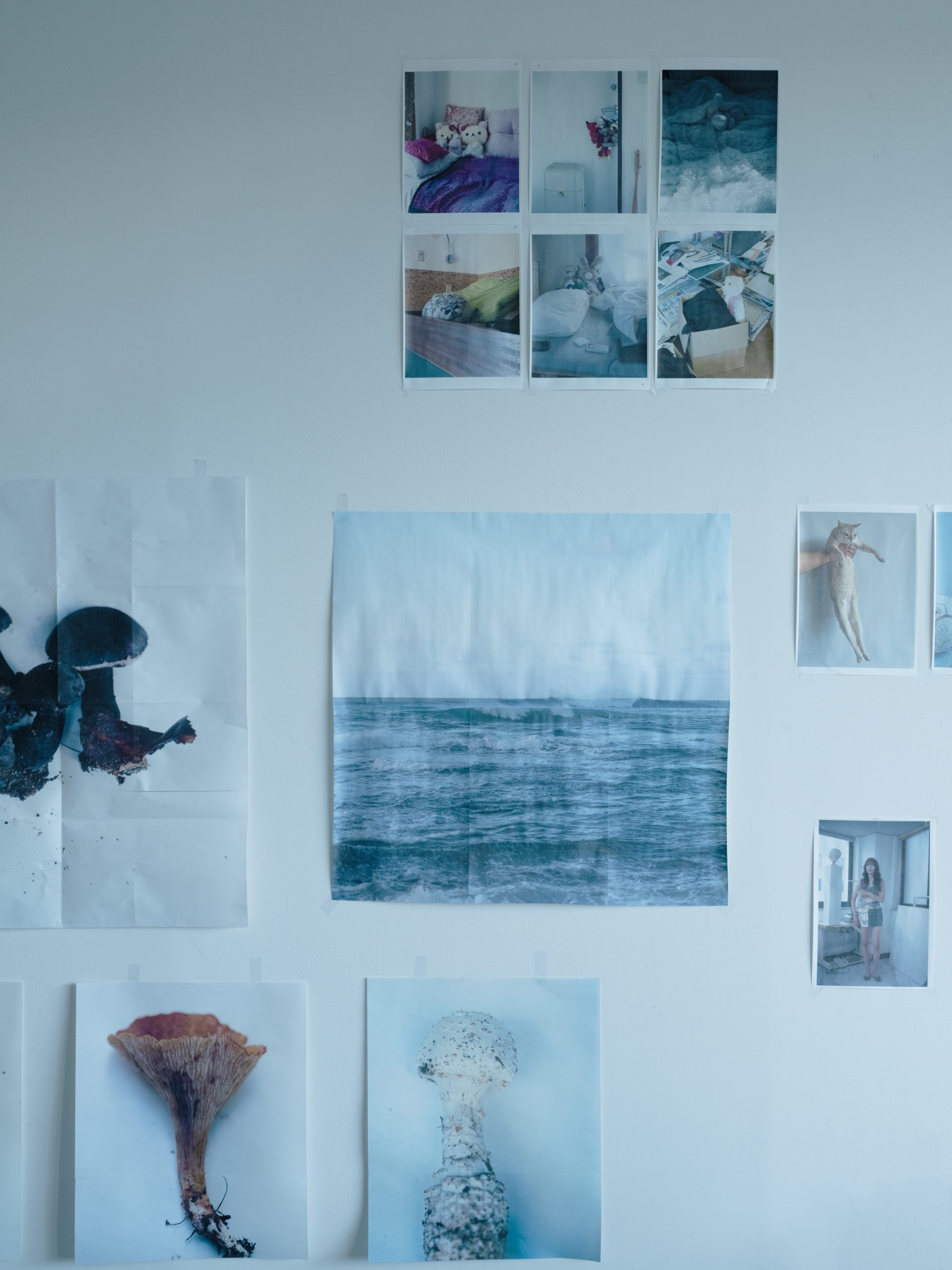 ホンマタカシ 「2025年のホンマタカシ」 （TARO NASU） ｜Tokyo Art Beat