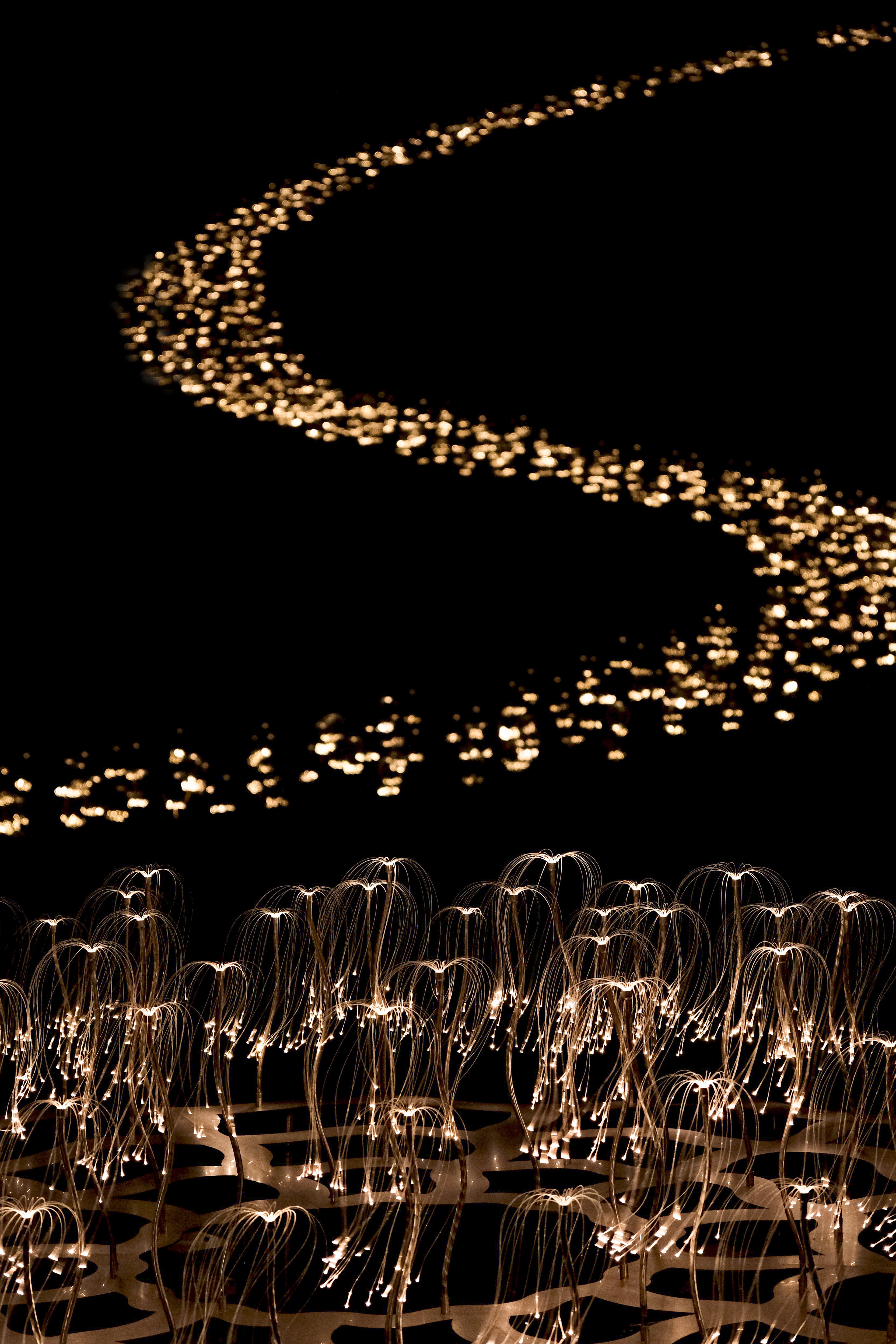 マーティロマヌキャン　蛍光線　叙情詩的な蜃気楼 20240913-ty-145701-1200x630.jpg