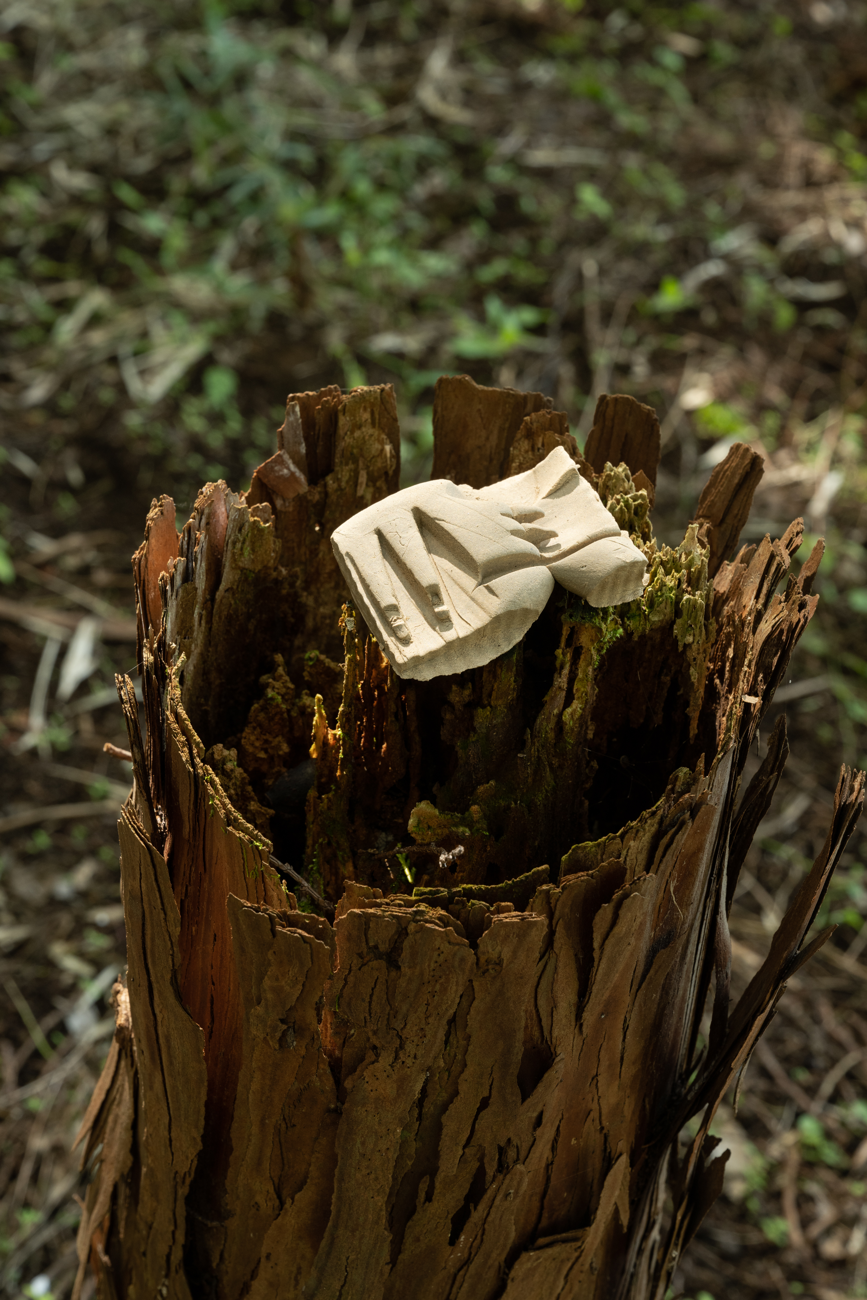 L PACK. 「陶芸家とすえの森」 （DAILY SUPPLY SSS） ｜Tokyo Art Beat