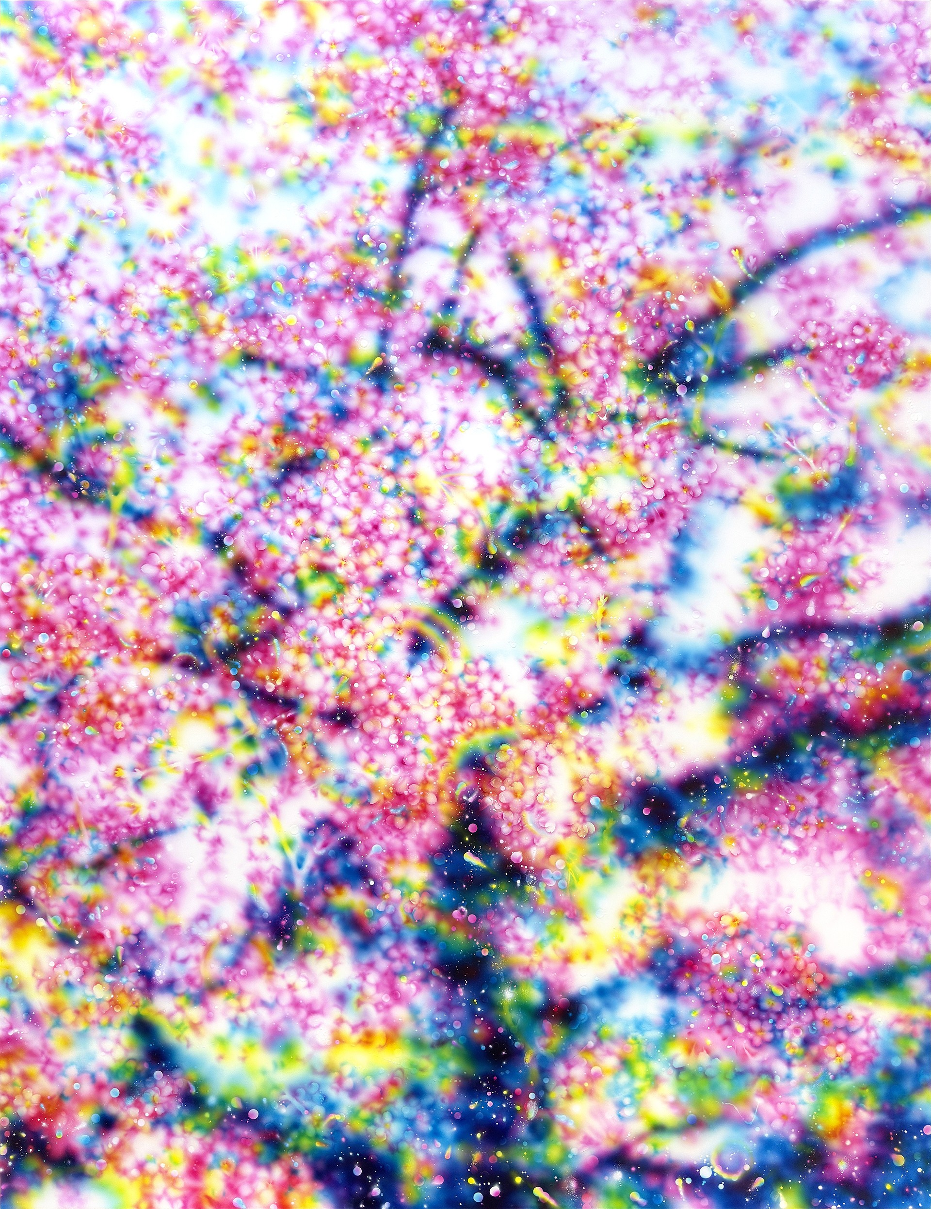 塚本智也 「Journey of Encounters」 （Gallery & Bakery Tokyo 8分