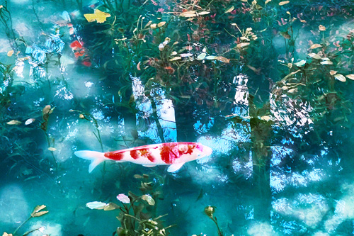 MN-EM-23-02.jpg?w=784&h=640&q=100