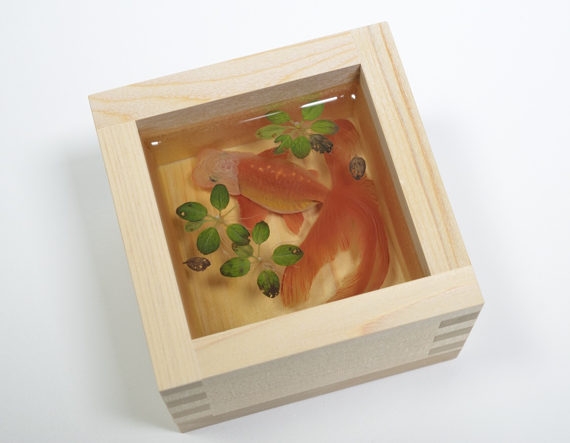 博物館 明治村×金魚絵師 深堀隆介 金魚浪漫」 （博物館 明治村