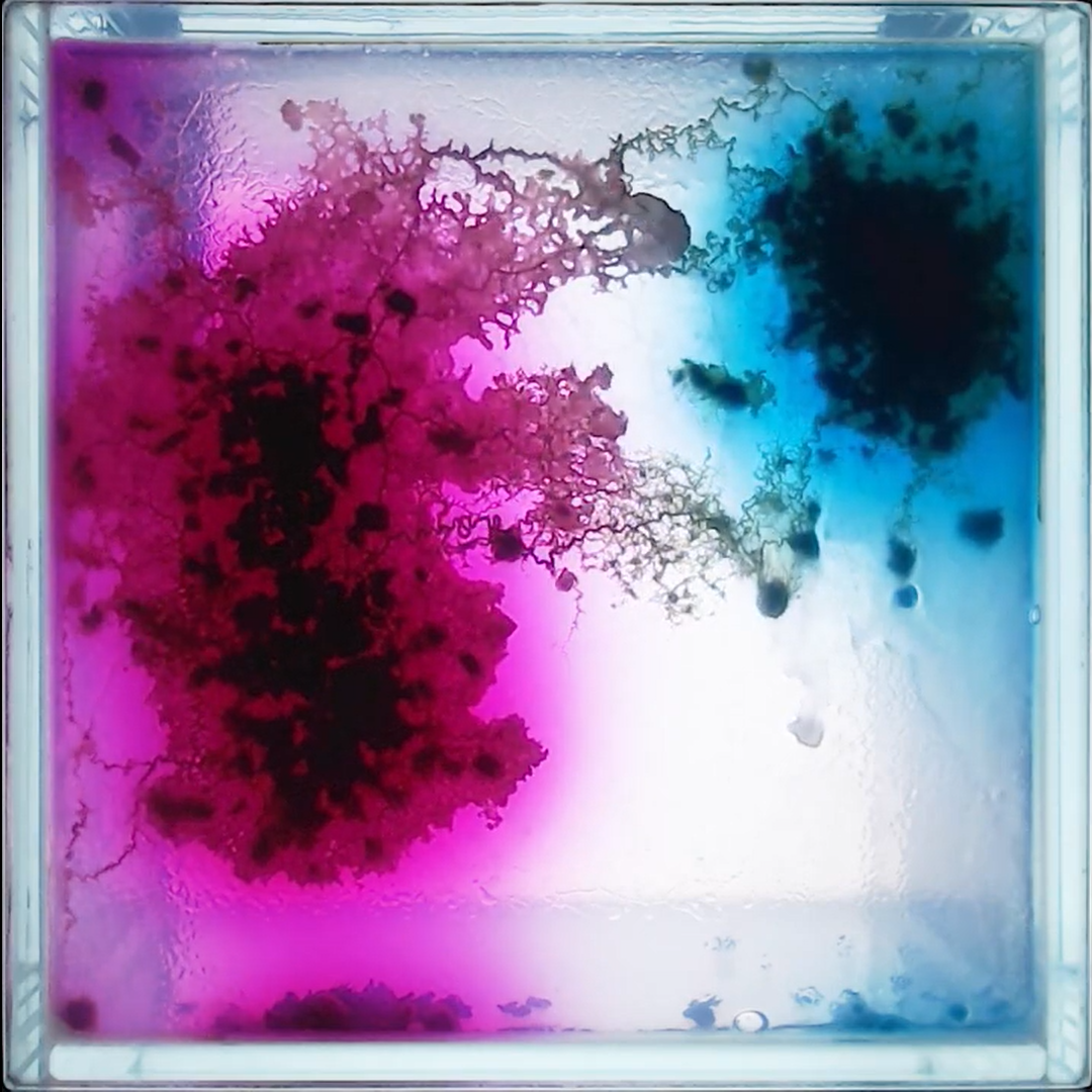 unnamed.png?w=1200