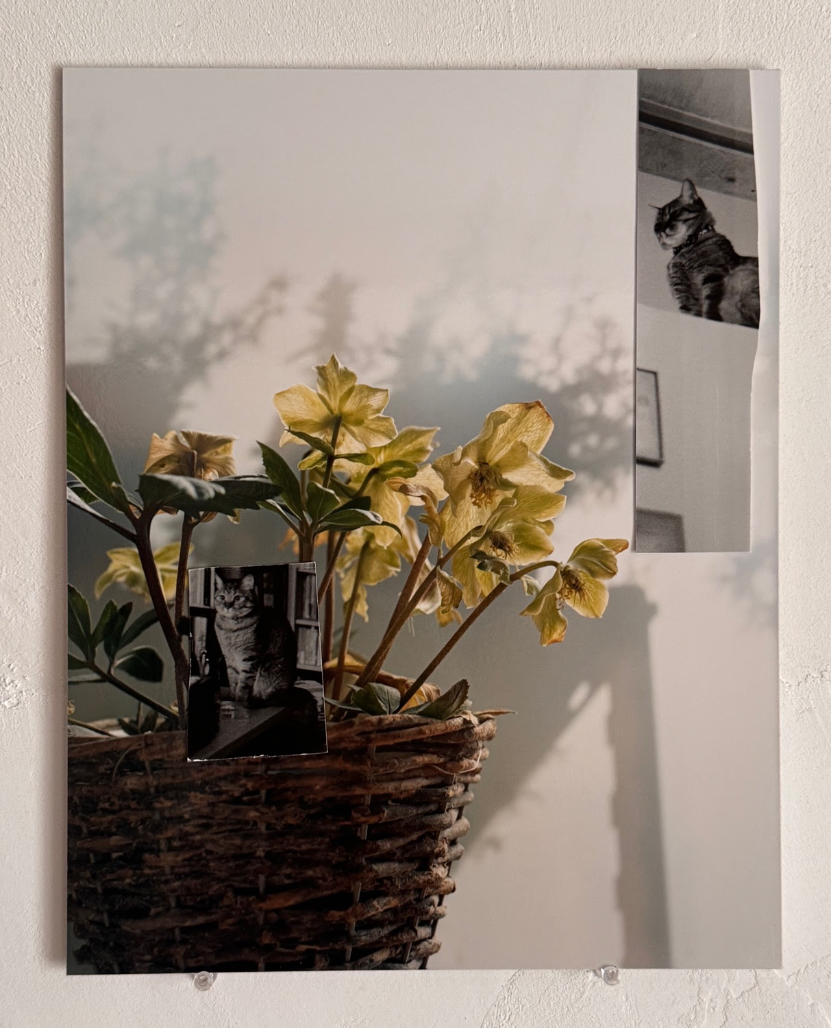 長島有里枝 「ガレージセール」 （MAHO KUBOTA GALLERY） ｜Tokyo Art Beat