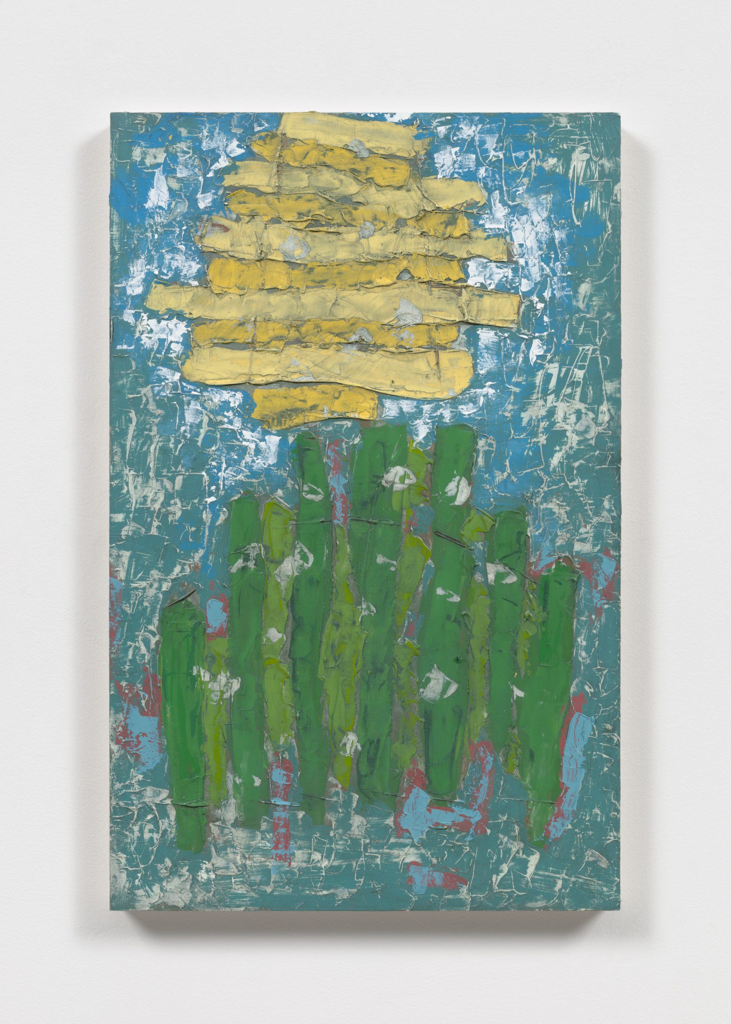 Photography and Painting: From the Paul Cézanne, Toshio Shibata