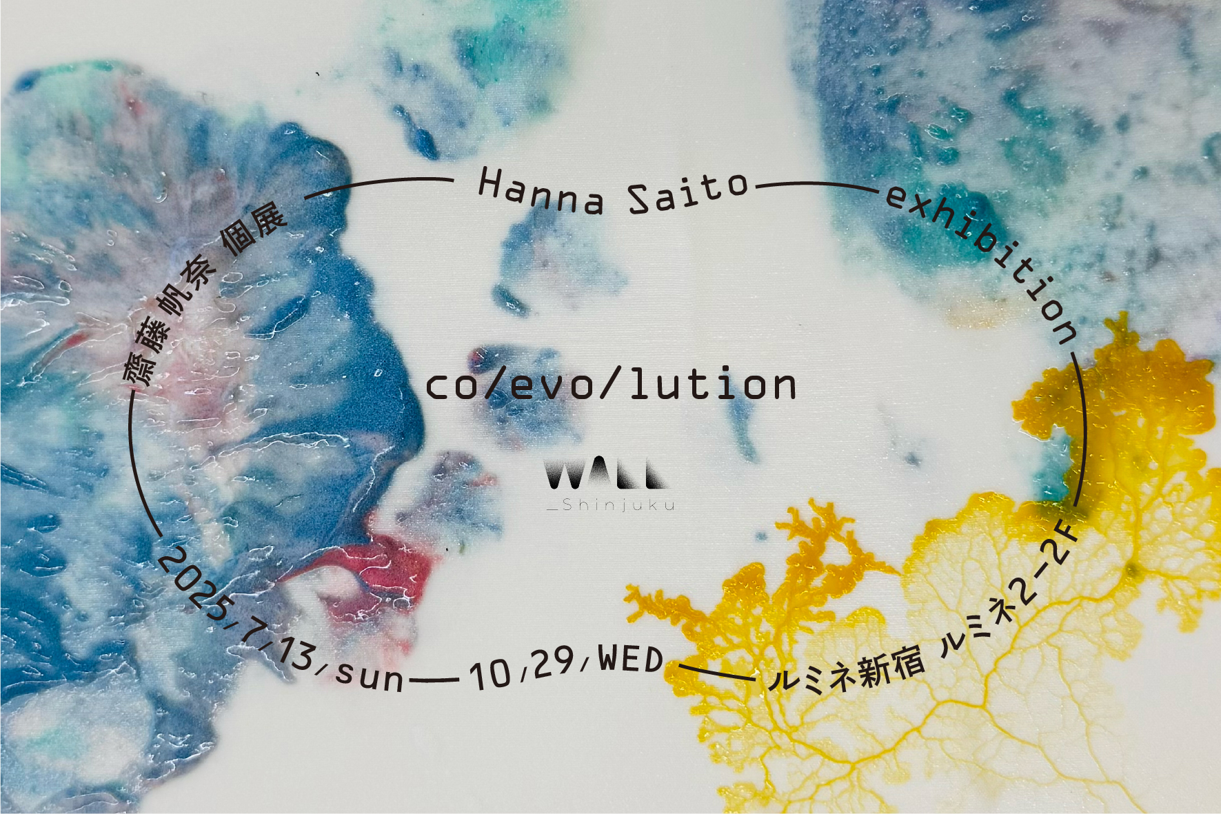 齋藤帆奈 「co/evo/lution」 （WALL_shinjuku） ｜Tokyo Art Beat