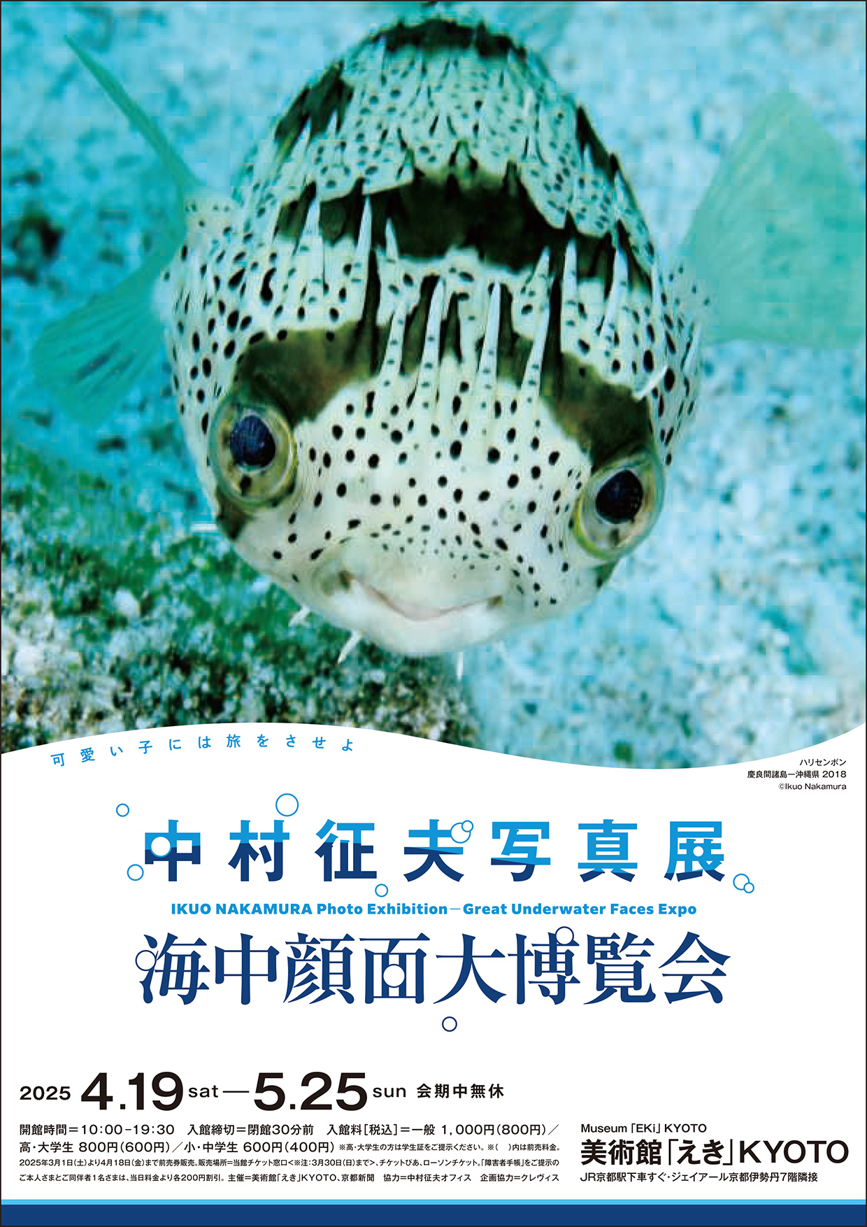 flyer_2504_01.jpg?w=784&h=640&