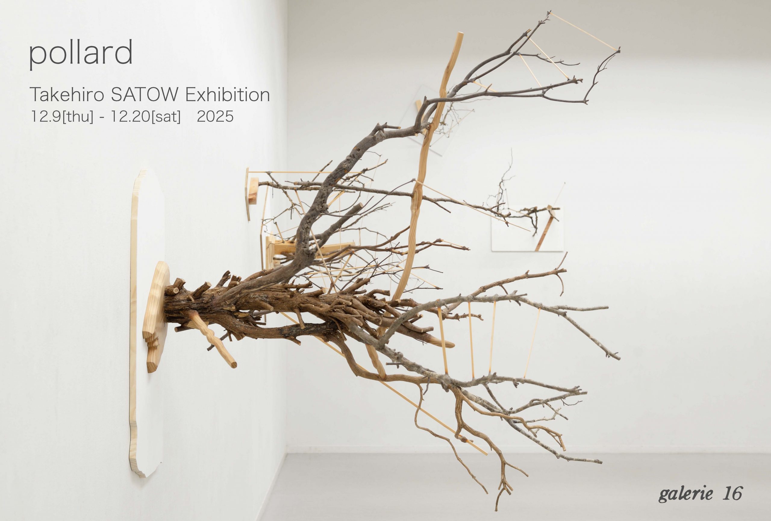 佐藤健博 「pollard」 （galerie16） ｜Tokyo Art Beat