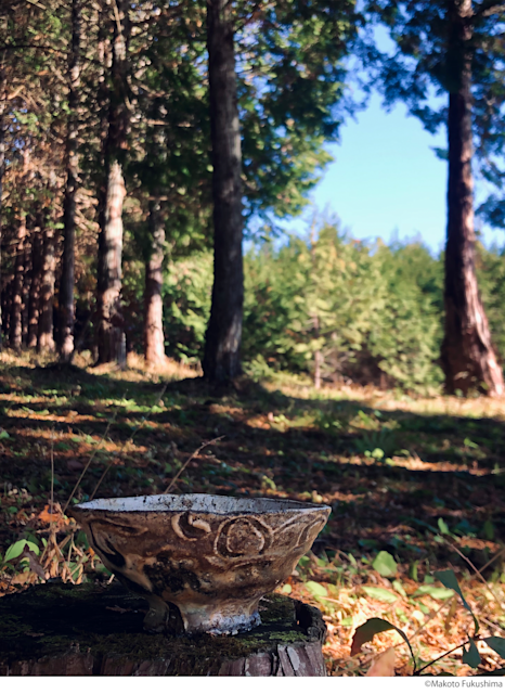 福島誠展 益子のやきもの」 （Hidari Zingaro） ｜Tokyo Art Beat