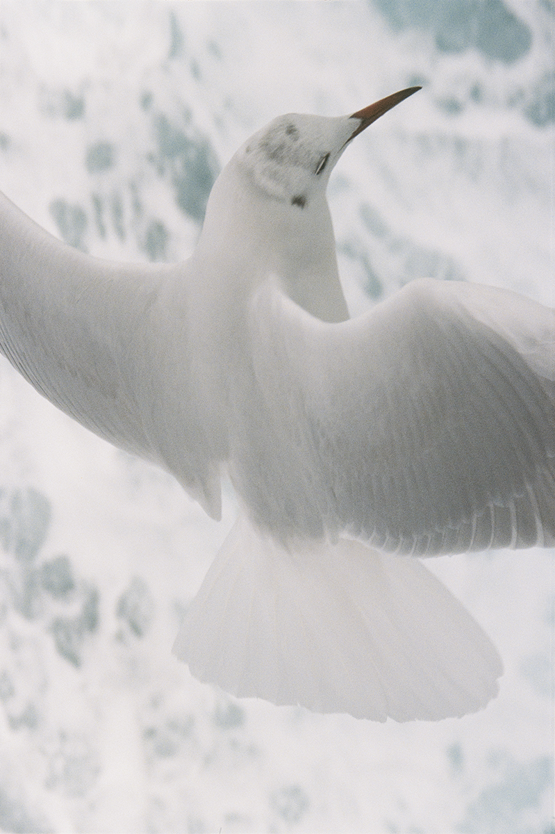 IM_2509_PressImage_01_72dpi_12