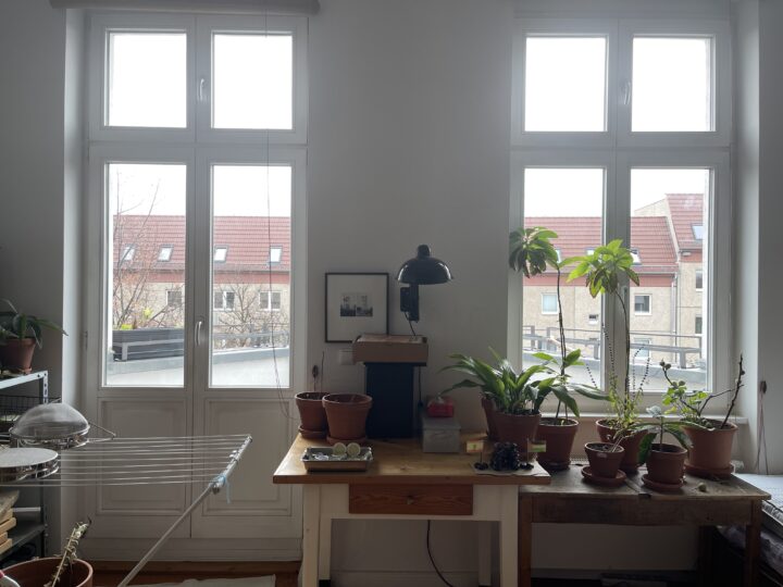1731229843-720x540.jpg?w=784&h