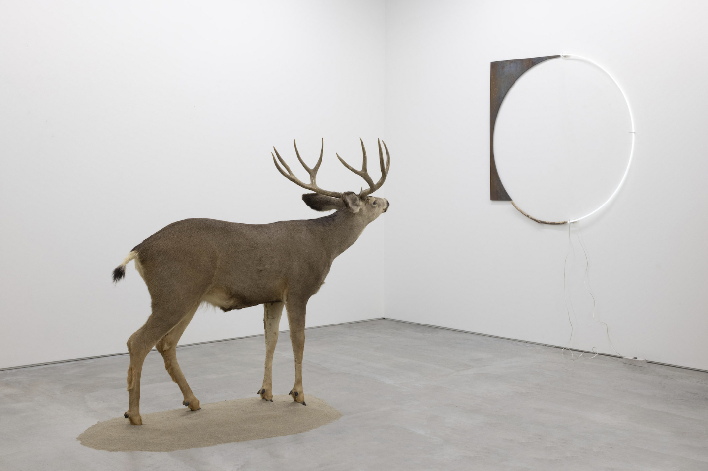 未完の始まり：未来のヴンダーカンマー」 （豊田市美術館） ｜Tokyo