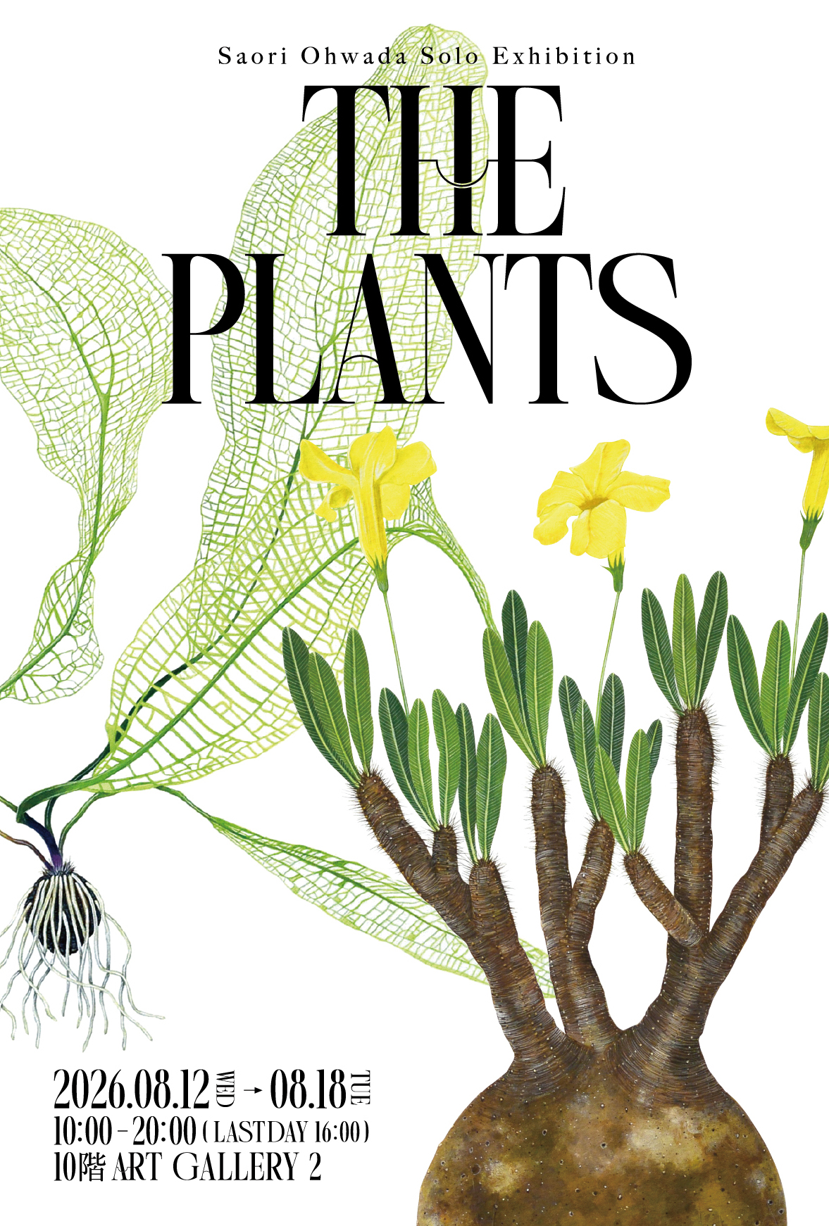 Saori Ohwada 「THE PLANTS」 （大丸東京店10階 ART GALLERY） ｜Tokyo