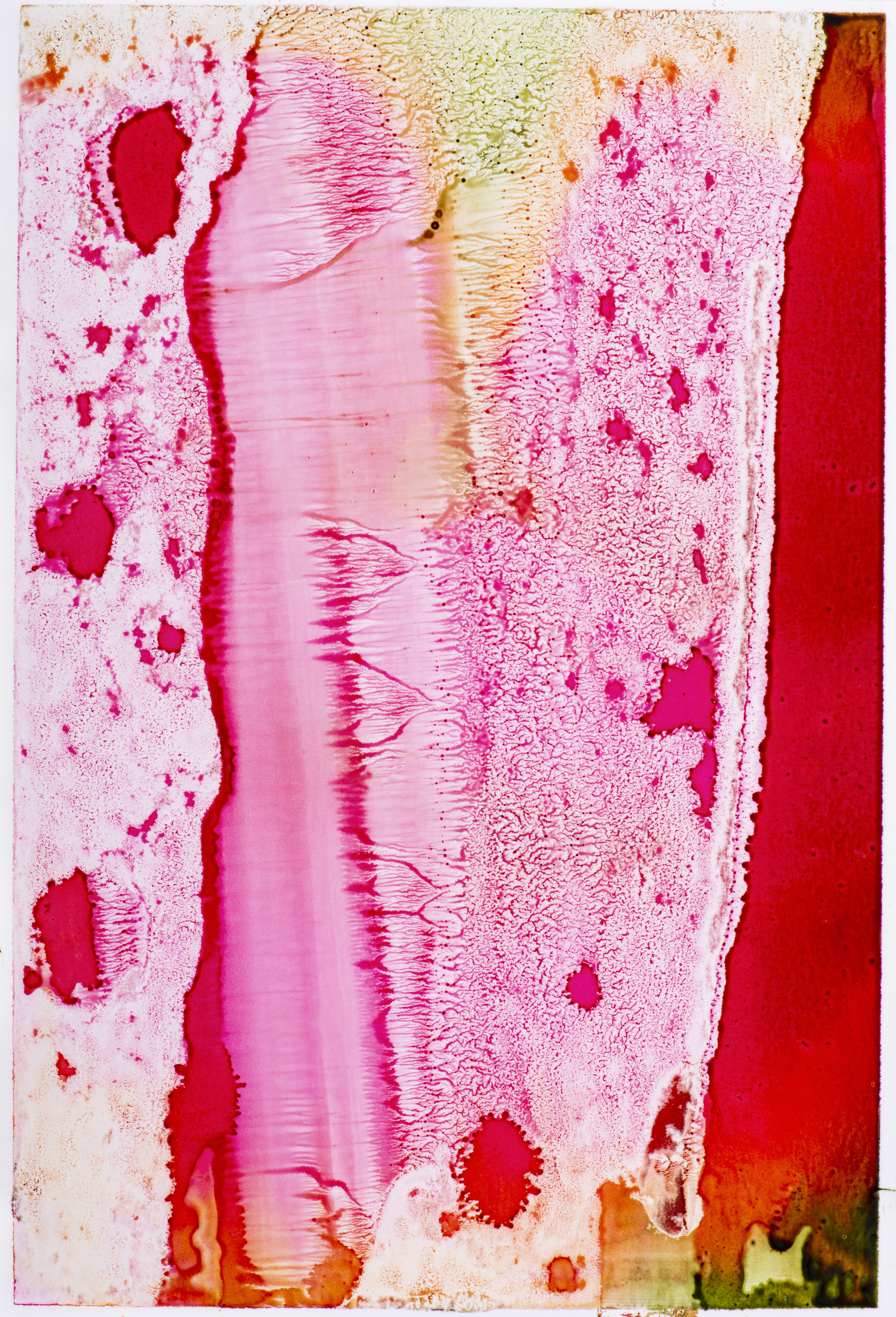 藤原更 「Melting Petals」 （MARGIN） ｜Tokyo Art Beat