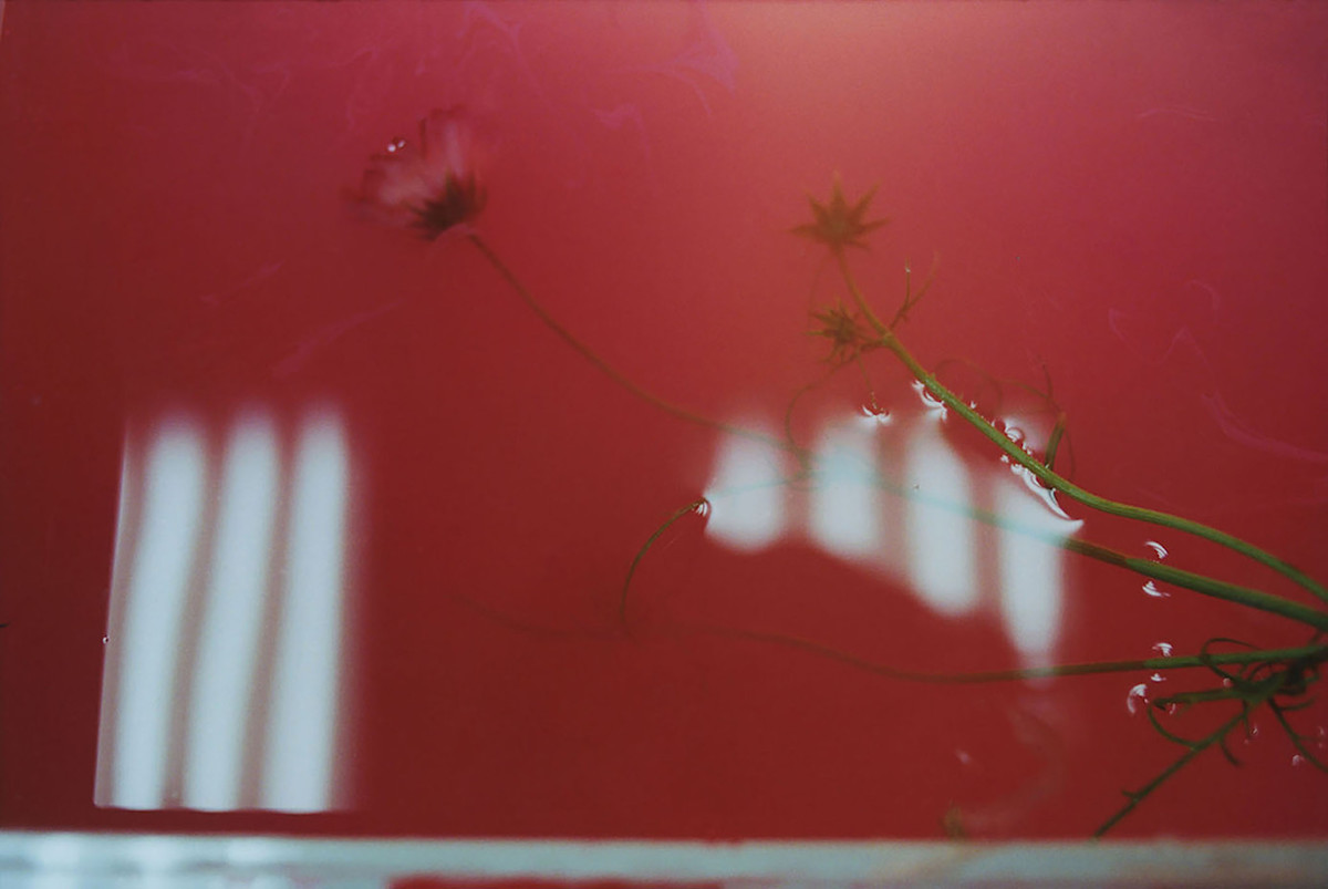 appear_1.jpeg?w=1200