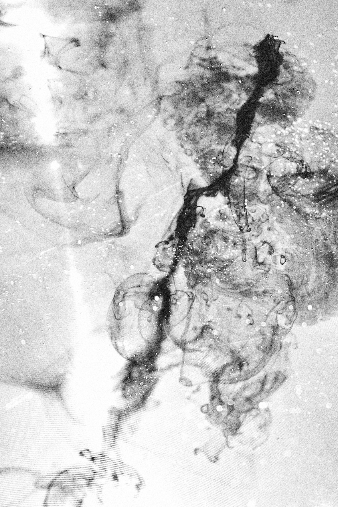 イソ〇一六三八四〇〇」 （落散 京都） ｜Tokyo Art Beat