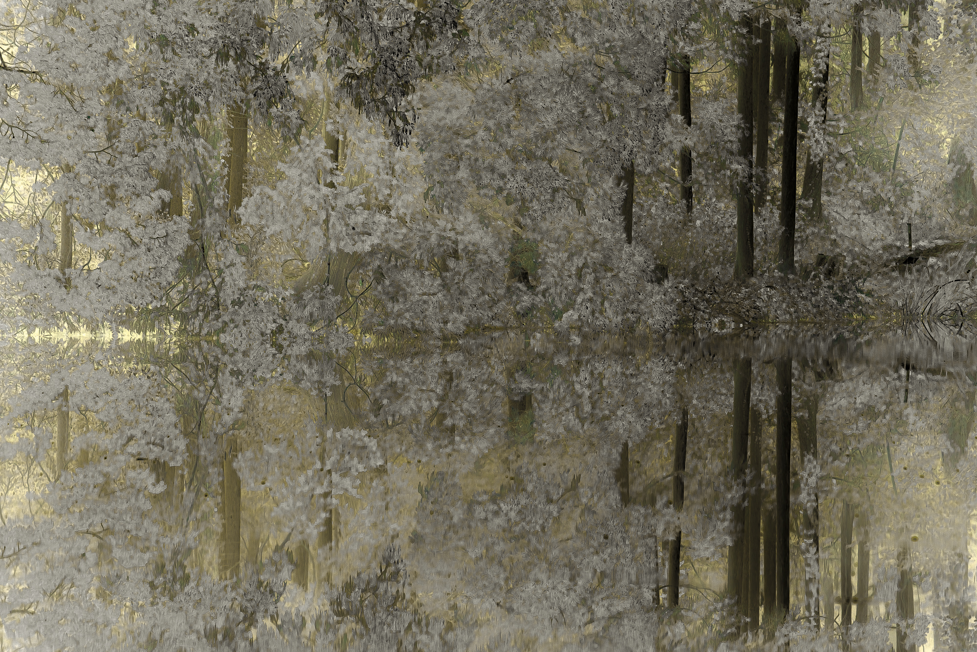 竹腰隼人 「世界を反転させて – hide and seek - 」 （Double Tall Art