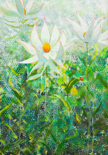 ○開幕のイリュージョン2 絵画原画 新進気鋭のイラストレーター恢原｜Kaiharaの個展「Ignorant Moon