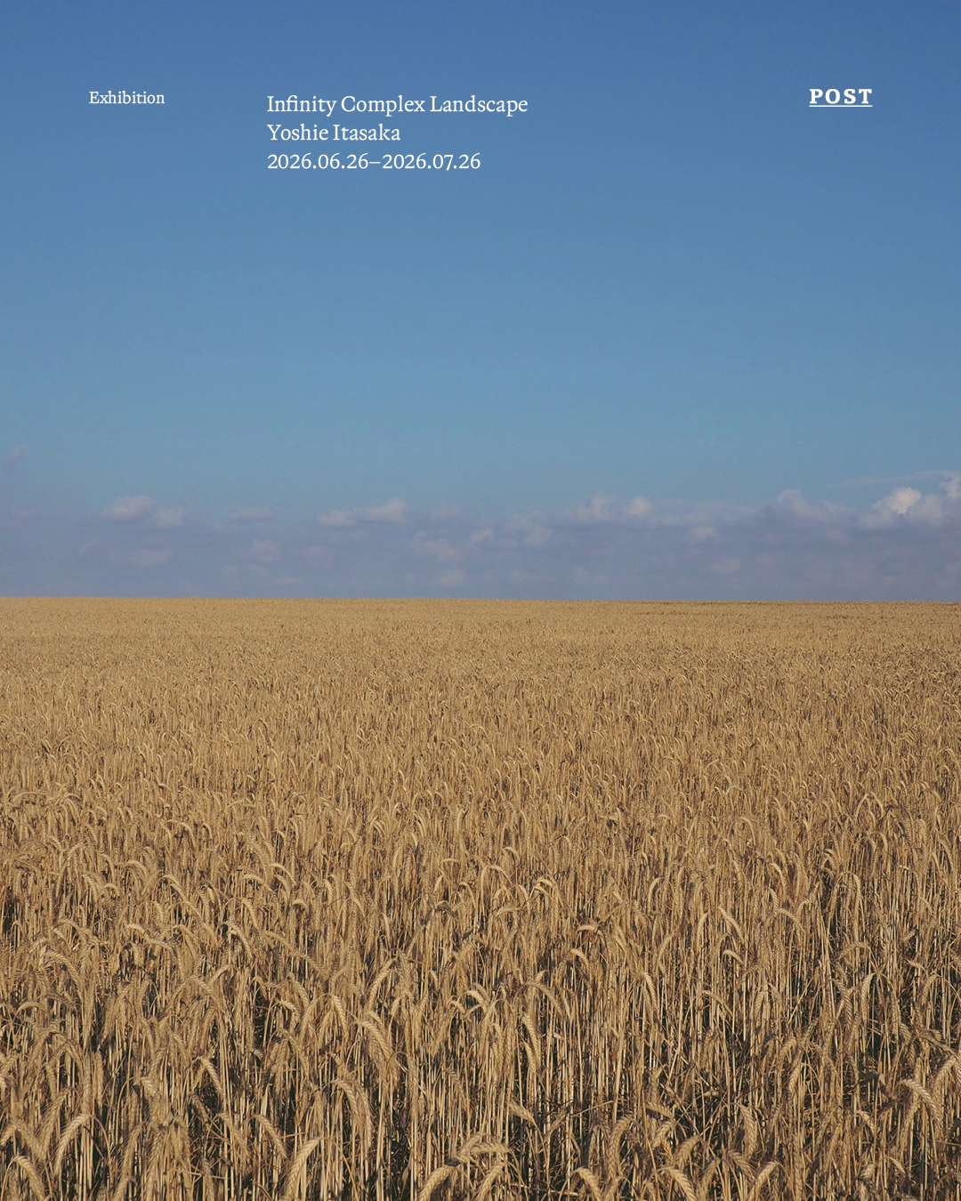「Yoshie Itasaka / Infinity Complex Landscape」