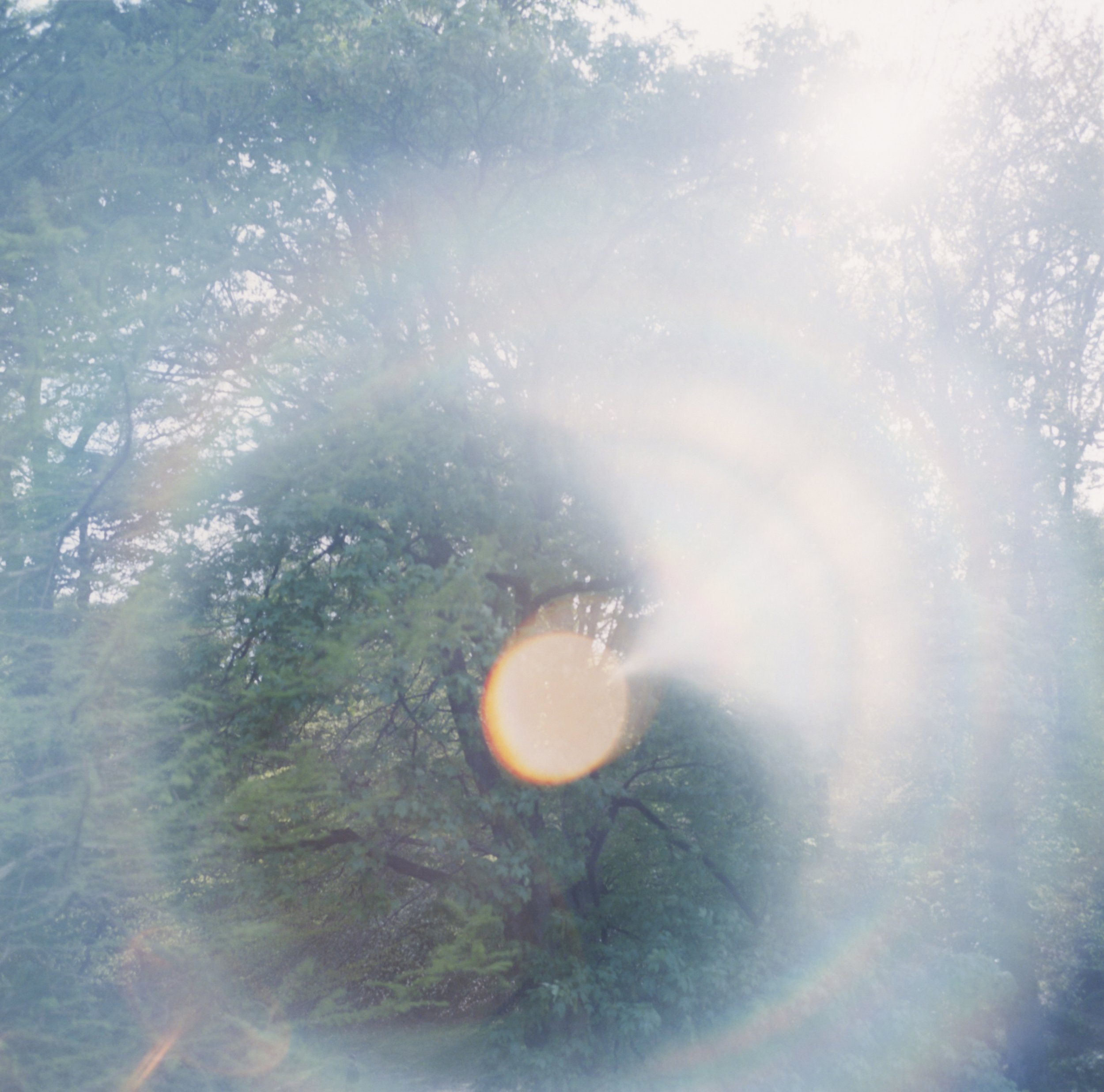 川内倫子　いまここ　本人サイン入り 川内倫子 いまここ 本人サイン入り - メルカリ