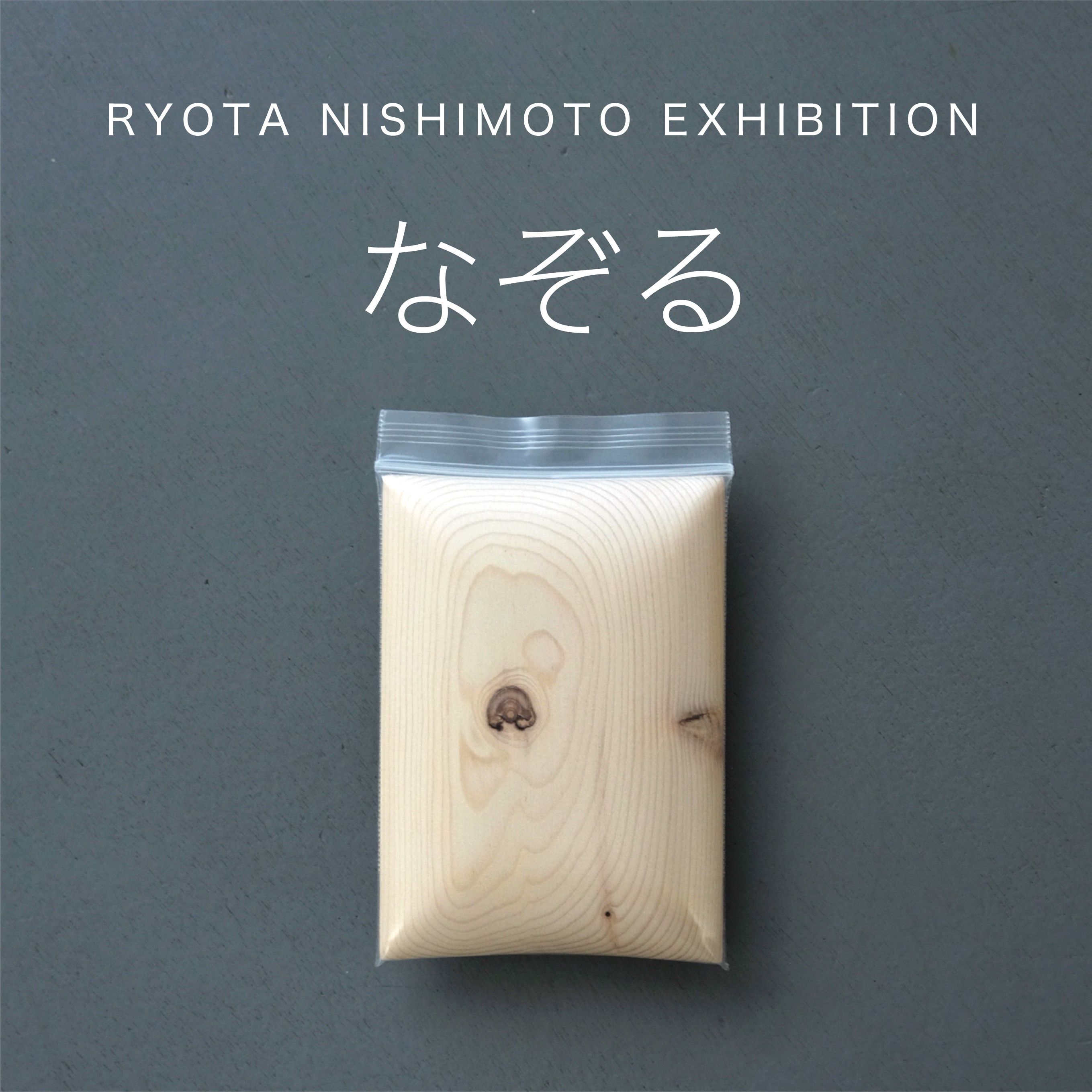 RYOTA_NISHIMOTO_EXHIBITION____