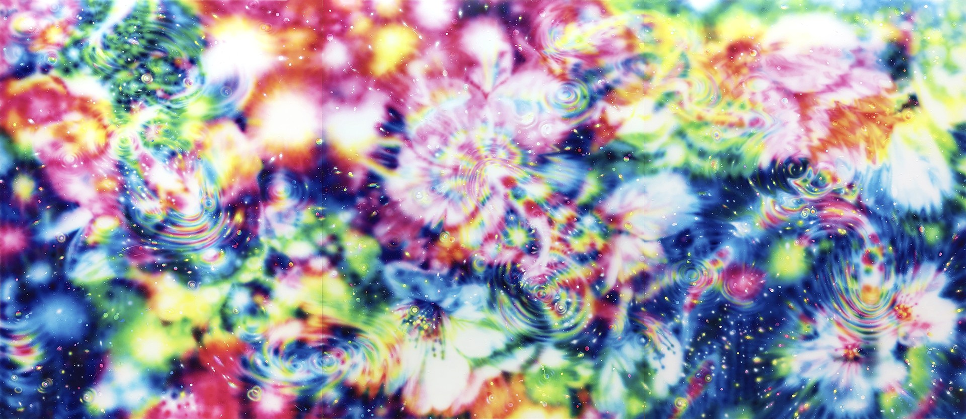 塚本智也 「Journey of Encounters」 （Gallery & Bakery Tokyo 8分