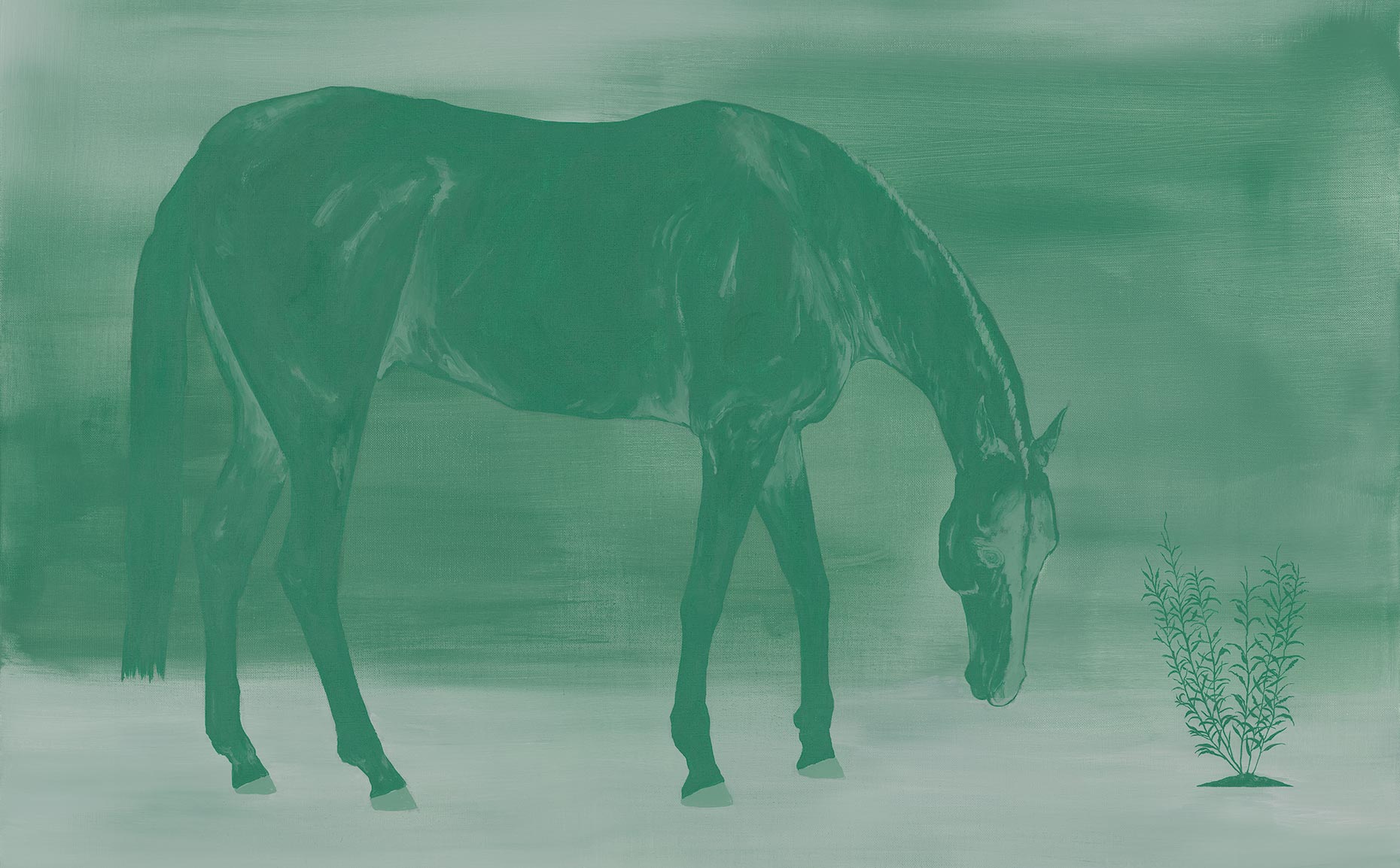 田中健太郎 「間（あわい）」 （水犀） ｜Tokyo Art Beat