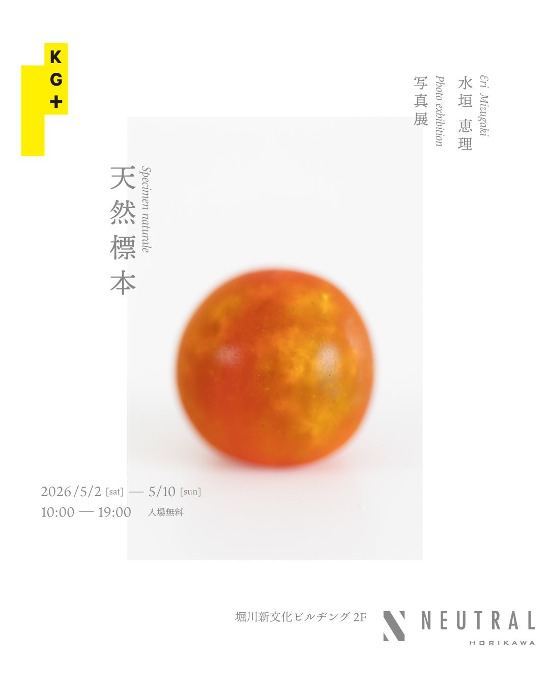 水垣恵理 「天然標本」 （NEUTRAL（堀川新文化ビルヂング）） ｜Tokyo