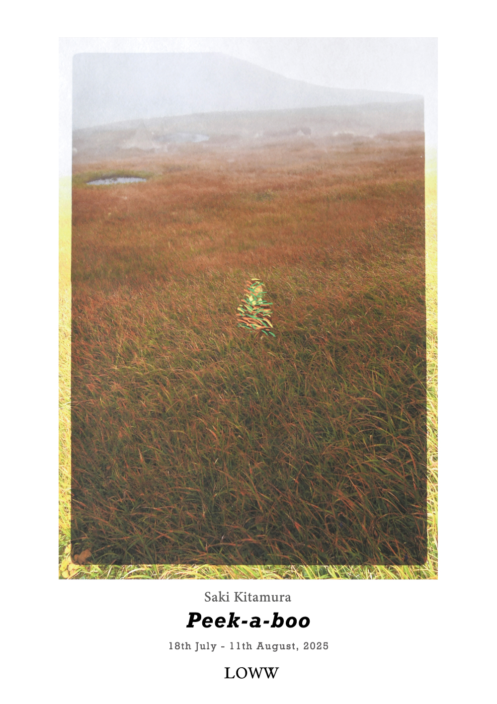 Peek A Booページ Peekaboo_omote_ol_mini.jpg?w=